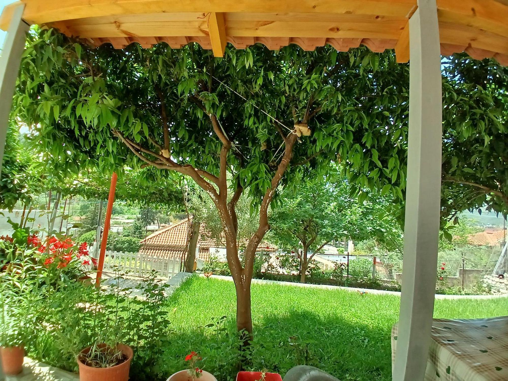 Guest House Noah&Kristel Μπεράτ Εξωτερικό φωτογραφία